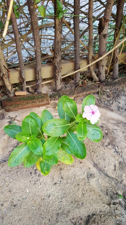 Pousada Agua Marinha 카노아 케브라다 외부 사진